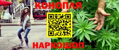 мдпв Аргун