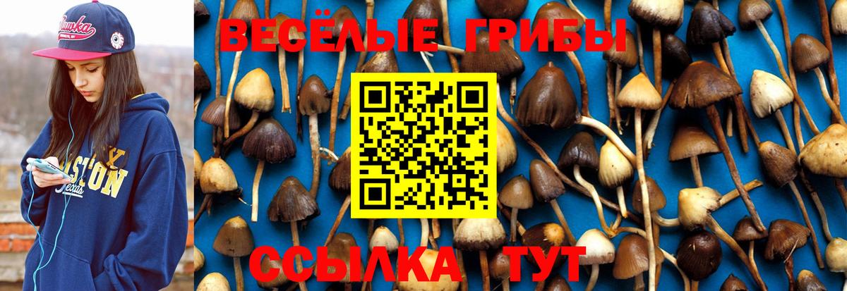 Галлюциногенные грибы GOLDEN TEACHER  Балашиха 