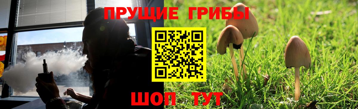 Галлюциногенные грибы Cubensis Балашиха